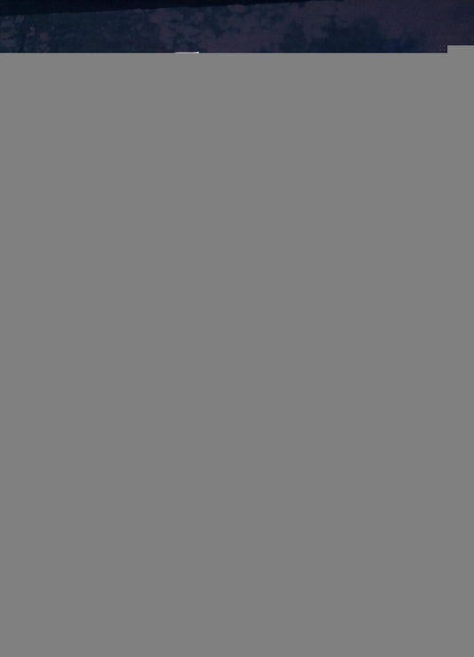 Подарок молодым хозяйкам, или Средство к уменьшению расходов в домашнем хозяйстве