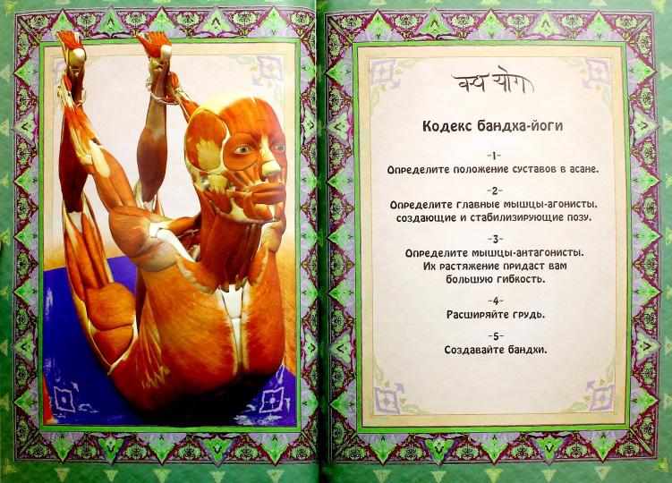 Анатомия прогибаний и скручиваний