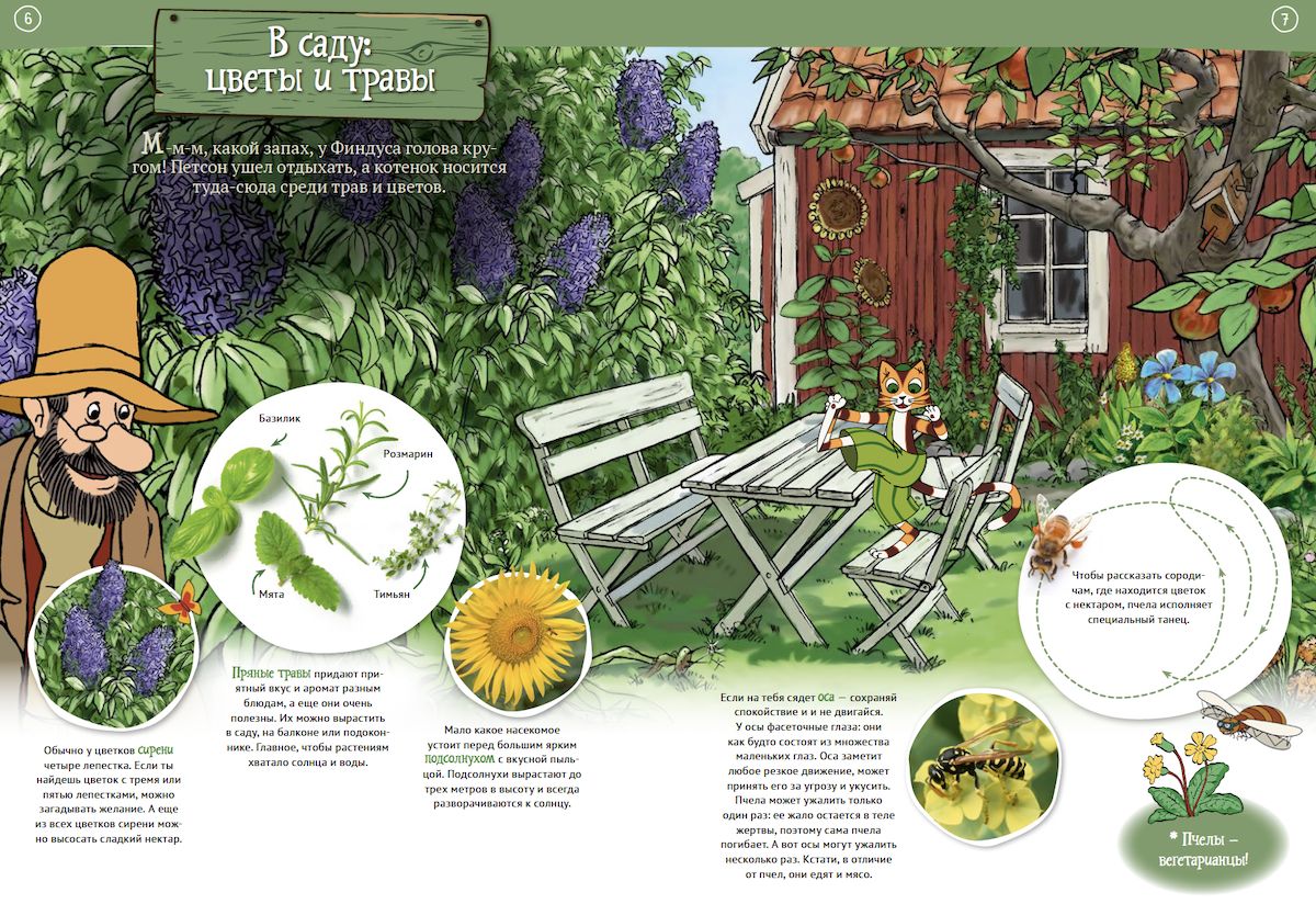 Петсон и Финдус на природе (второе издание, исправленное)