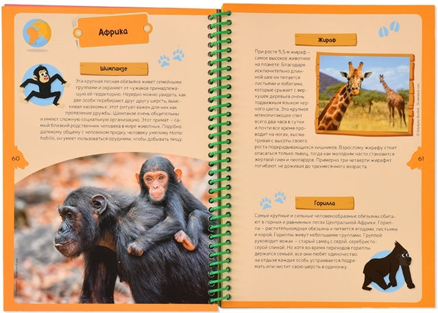 Животные планеты. Детская энциклопедия (в коробке)