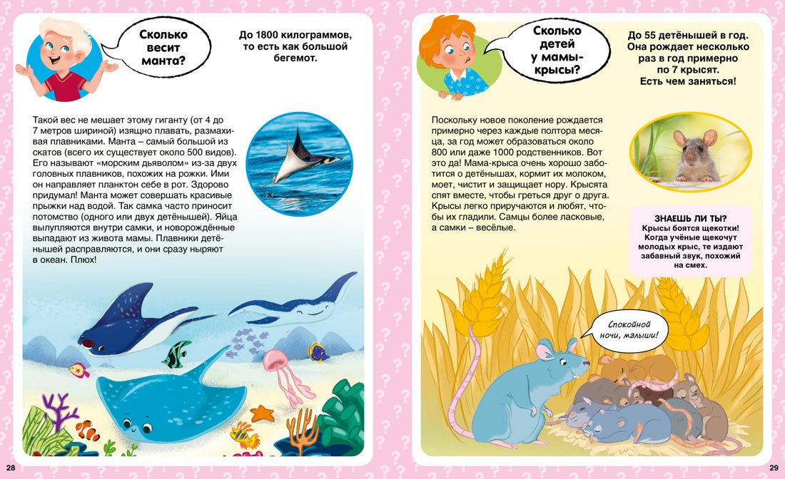 Сколько? 100 вопросов и ответов в картинках