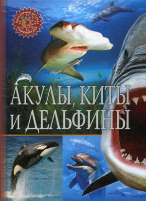 Акулы, киты и дельфины. Популярная детская энциклопедия.