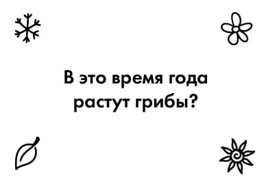 Игра настольная Викторина "Времена года"