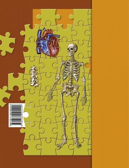 Драгомилов 8 кл. Биология. Человек. Рабочая тетрадь № 1 (УМК Пономарева, концентрический курс)(Вентана-Граф)