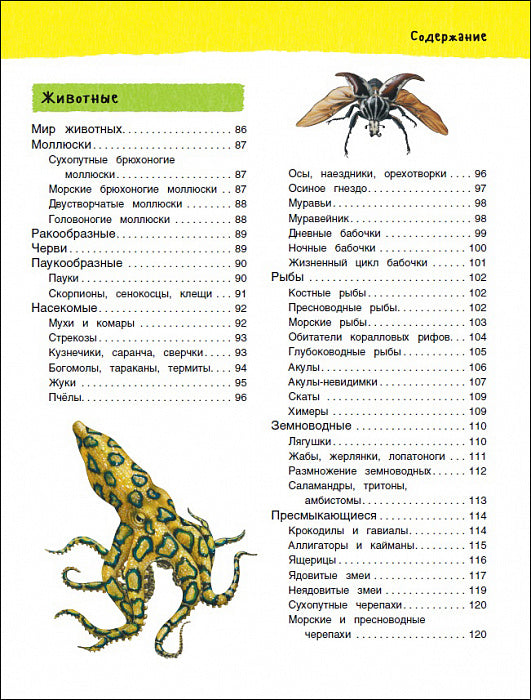 Большая иллюстрированная энциклопедия (нов.)