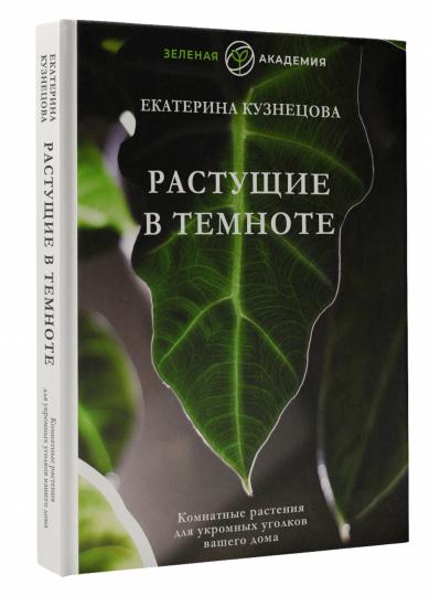 Растущие в темноте. Комнатные растения для укромных уголков вашего дома