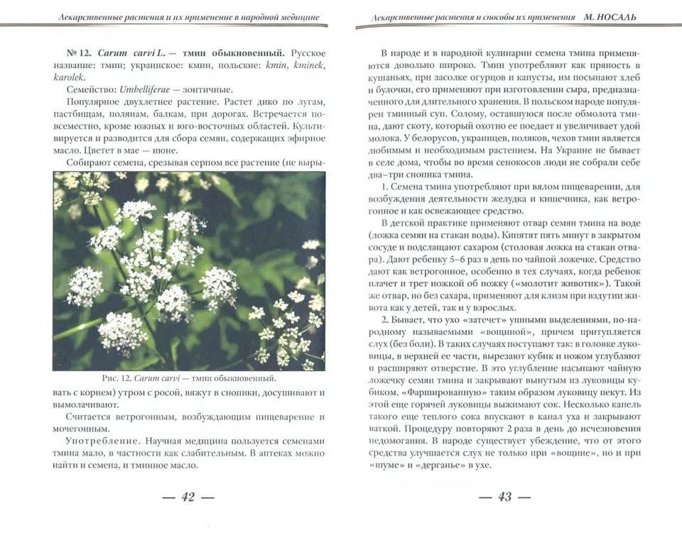 Лекарственные растения и способы их применения в народе. Носаль М.А.