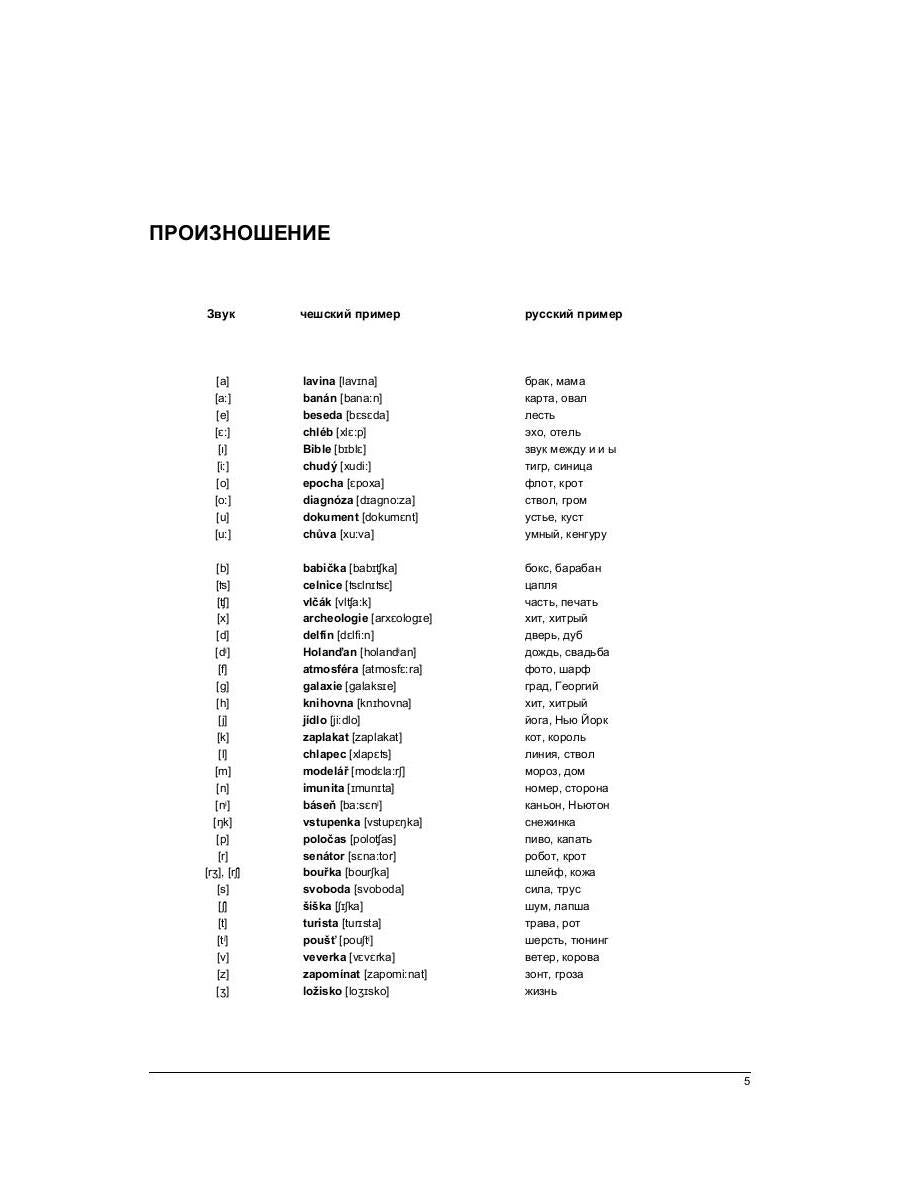 Русско-чешский разговорник и мини-словарь 250 слов