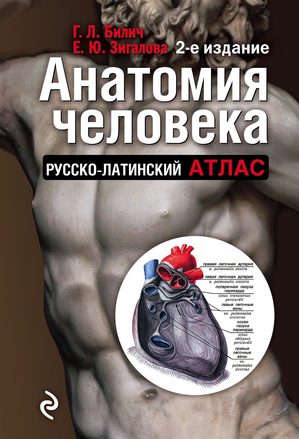 Анатомия человека (цветной атлас): Русско-латинский атлас. 2-е издание
