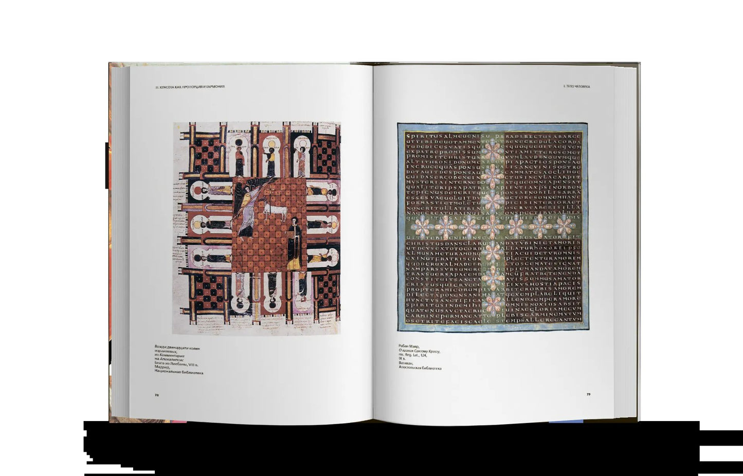 История красоты