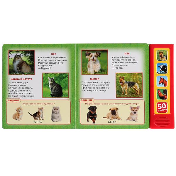 "Умка". Домашние животные. В.Степанов (5 зв. кнопок. Говорящая энциклопедия). 200х175мм в кор.32шт