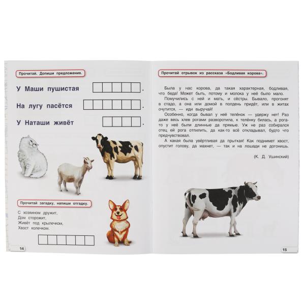 Годовой курс 6-7 лет. О. Колесникова. 200х260 мм. 64 стр. Умка в кор.50шт