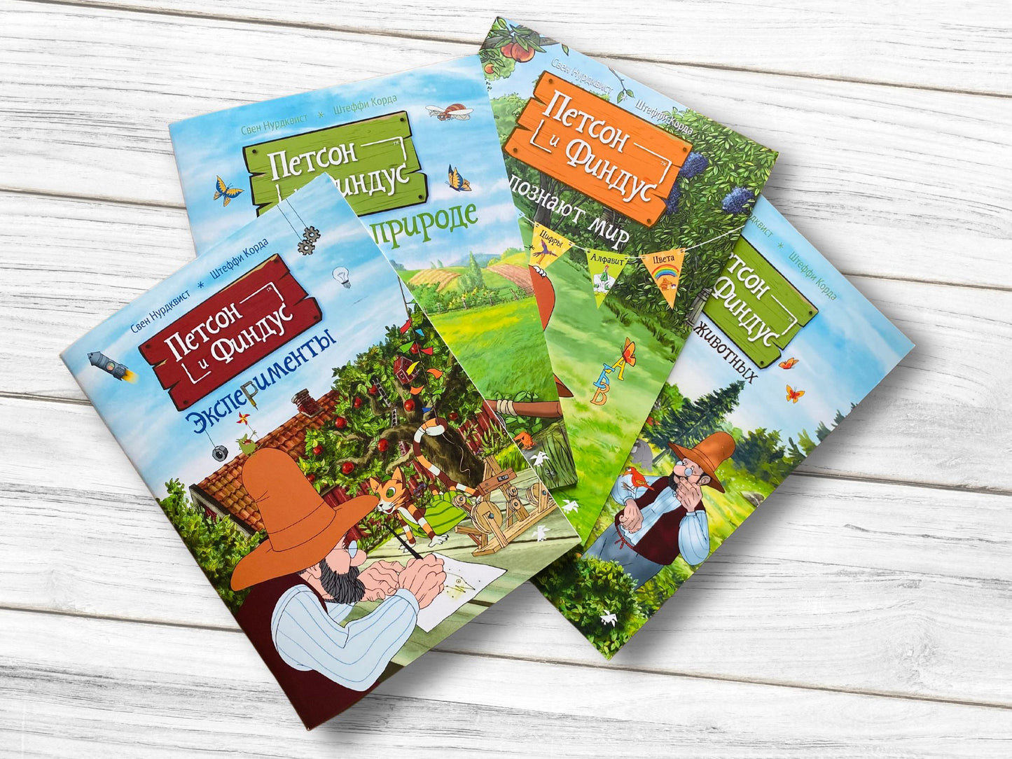 Петсон и Финдус. Эксперименты