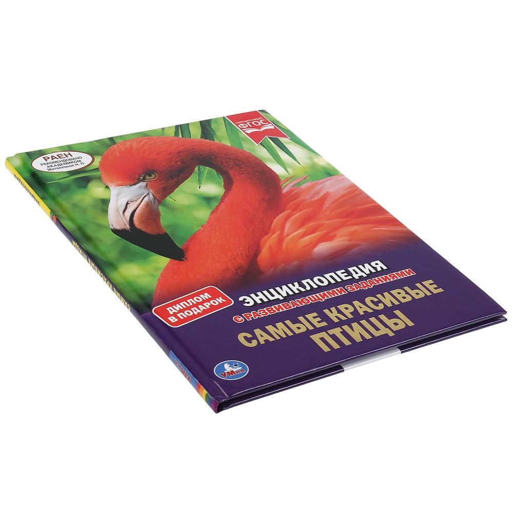 "УМКА". САМЫЕ КРАСИВЫЕ ПТИЦЫ (ЭНЦИКЛОПЕДИЯ А4 С РАЗВИВАЮЩИМИ ЗАДАНИЯМИ). ТВЕРДЫЙ ПЕРЕПЛЕТ в кор.15шт