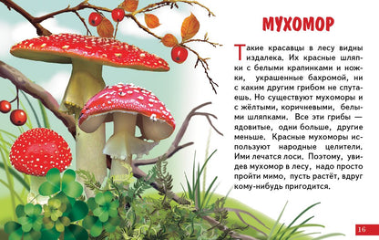Карточки (европодвес). Грибы ; Карточки (европодвес). Грибы
