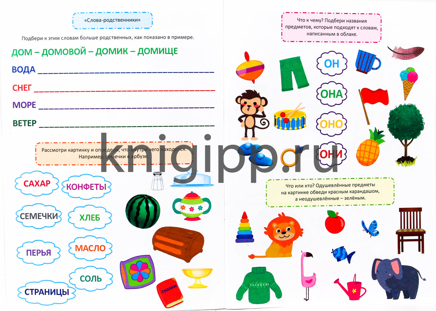 ТРЕНАЖЁР ПО РУССКОМУ 5+