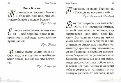Спасай себя, да и будет с тебя. Изречения Оптинских старцев