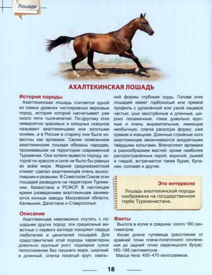 ЭНЦИКЛОПЕДИЯ ДЛЯ ДЕТЕЙ новые. ЛОШАДИ