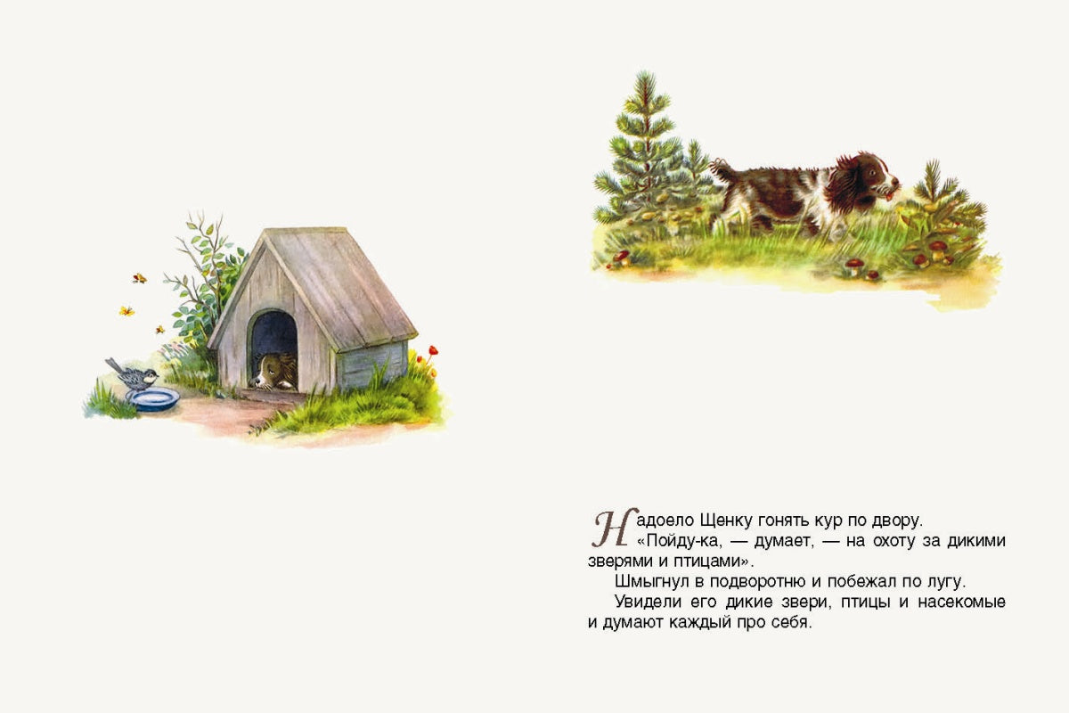 Первая охота. Странички-невелички. илл. Нецкой Е.