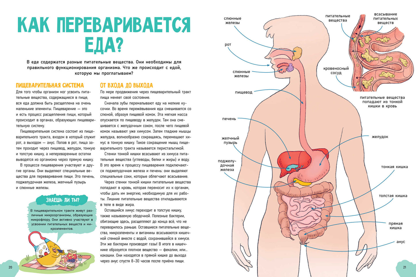 Удивительные энциклопедии. Невероятное тело человека/Валло Д.