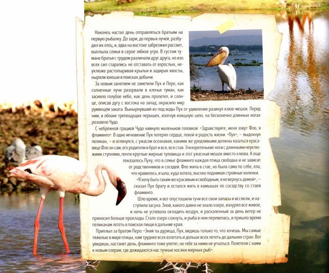 Жажда жизни (16+)