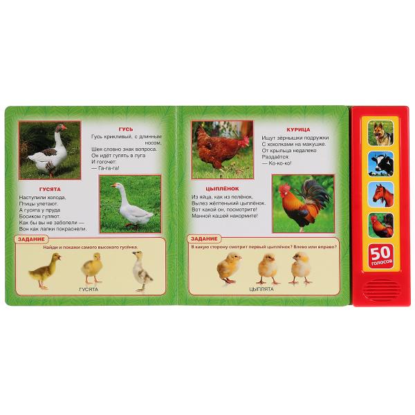 "Умка". Домашние животные. В.Степанов (5 зв. кнопок. Говорящая энциклопедия). 200х175мм в кор.32шт