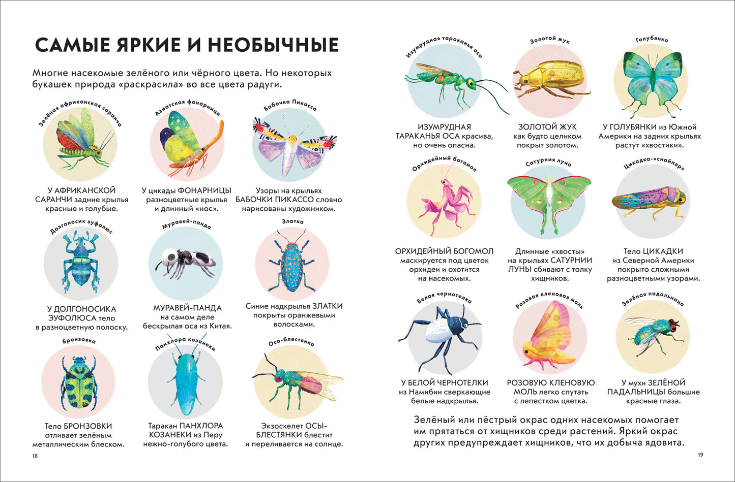 Детская энциклопедия насекомых