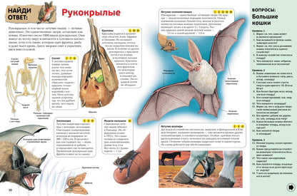 Интерактивная энциклопедия для школьников. Ответы на 1000 вопросов