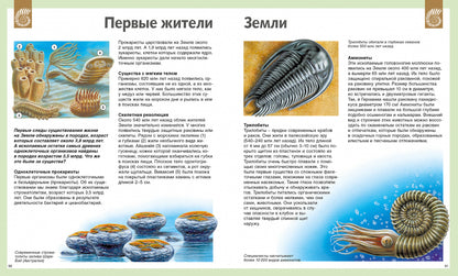 Универсальная школьная энциклопедия