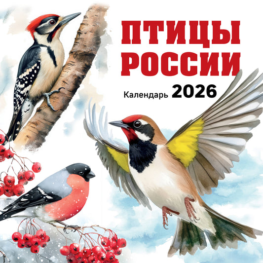 Птицы России. Календарь настенный на 2026 год (300х300 мм)
