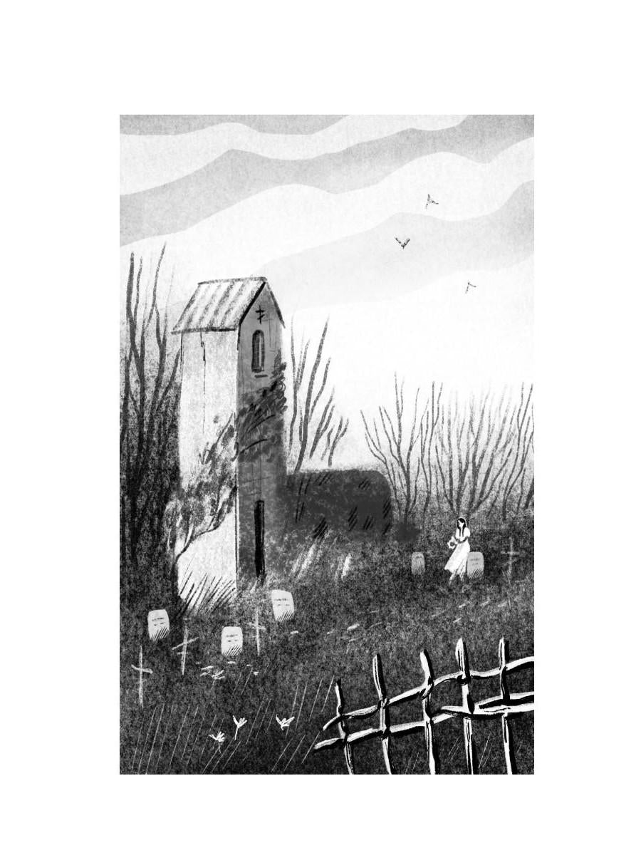 Город мертвых птиц