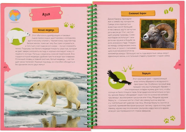 Животные планеты. Детская энциклопедия (в коробке)