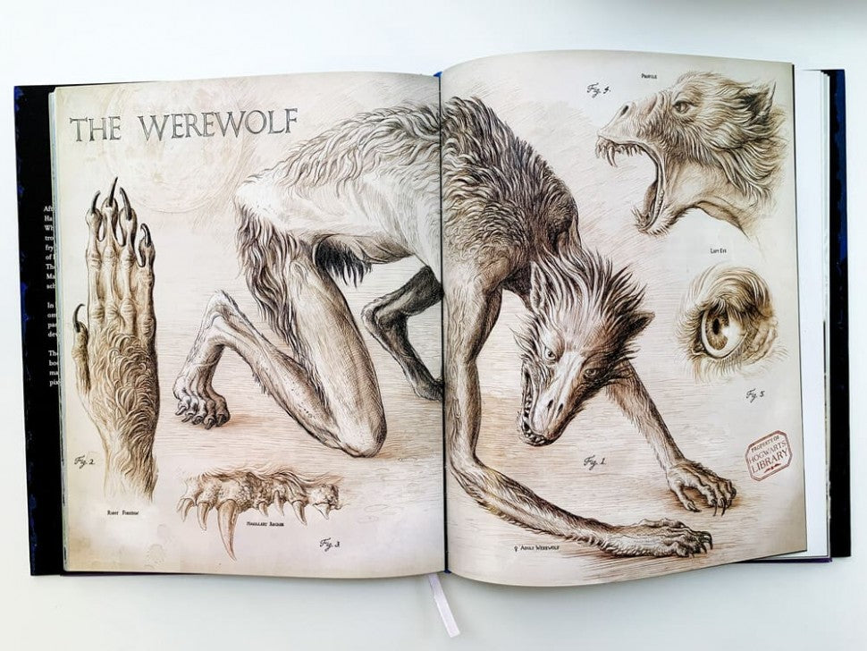 Harry Potter and the Prisoner of Azkaban Illustrated Edition(J.K. Rowling) Гарри Поттер и Узник Азкабана Илл. издание/Книги на английском языке