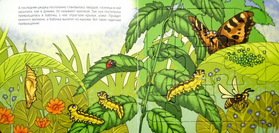 93294 Книжка-игрушка "Бабочка. Волшебные превращ."