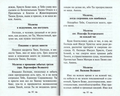 Молитвенный покров для защиты от бед и напастей на всех путях жизни