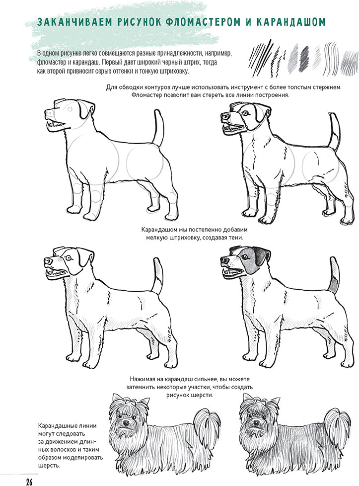Скетчбук.Создаем наброски животных и птиц шаг за шагом:50 проектов с подроб.объяснениями