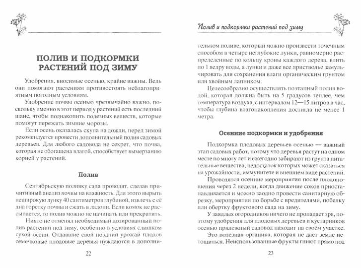 Осенние работы в саду и огороде. Защита от болезней, посадки, удобрения, уборка, обрезка, подготовка