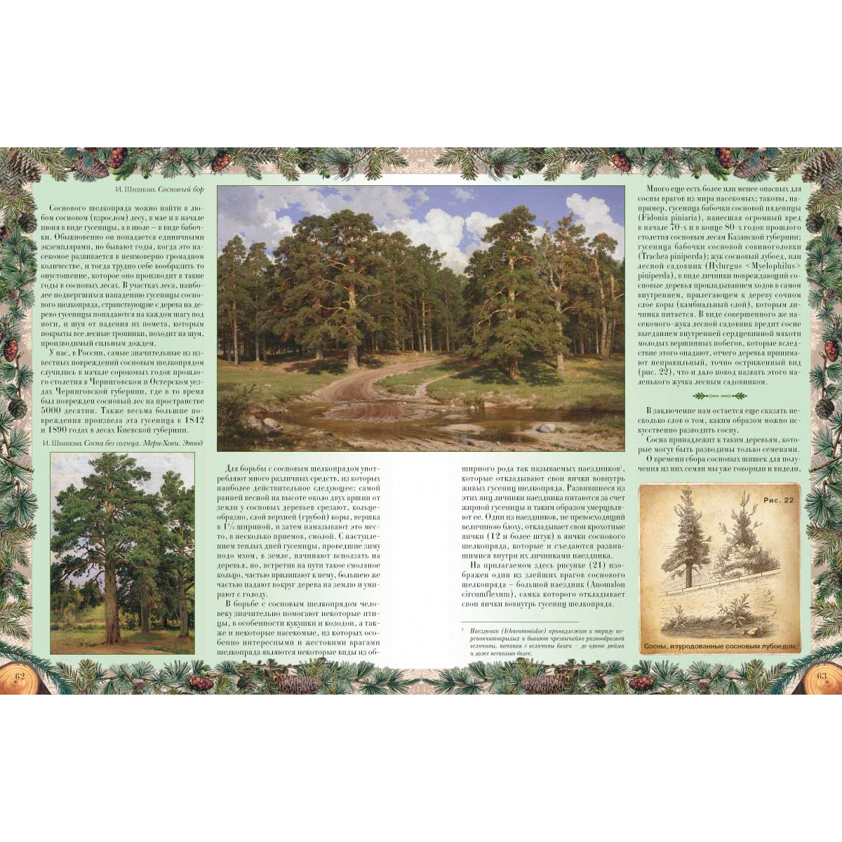 Беседы о русском лесе