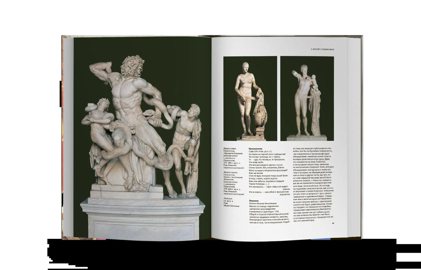 История красоты