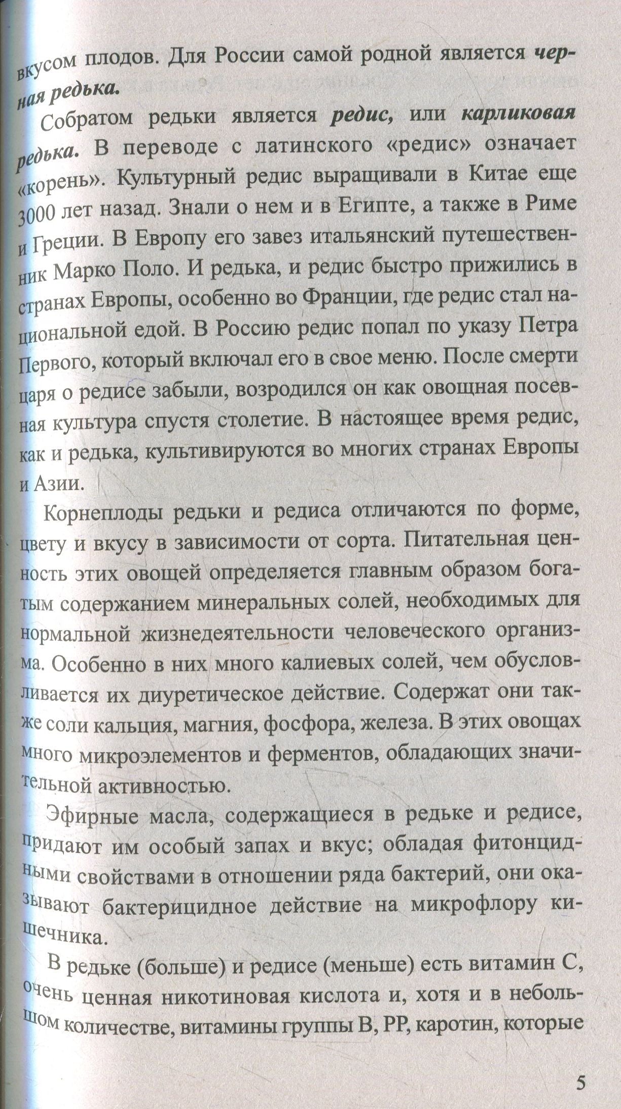 Редька. Мифы и реальность