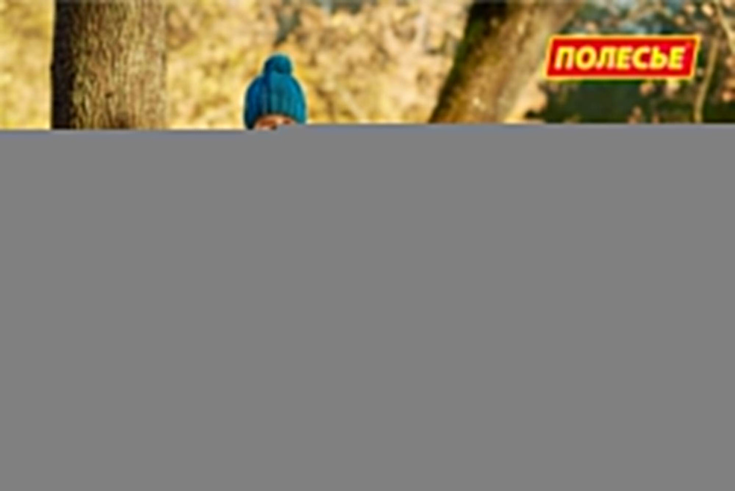 Полесье. Тачка "Садовод" арт.4376/4