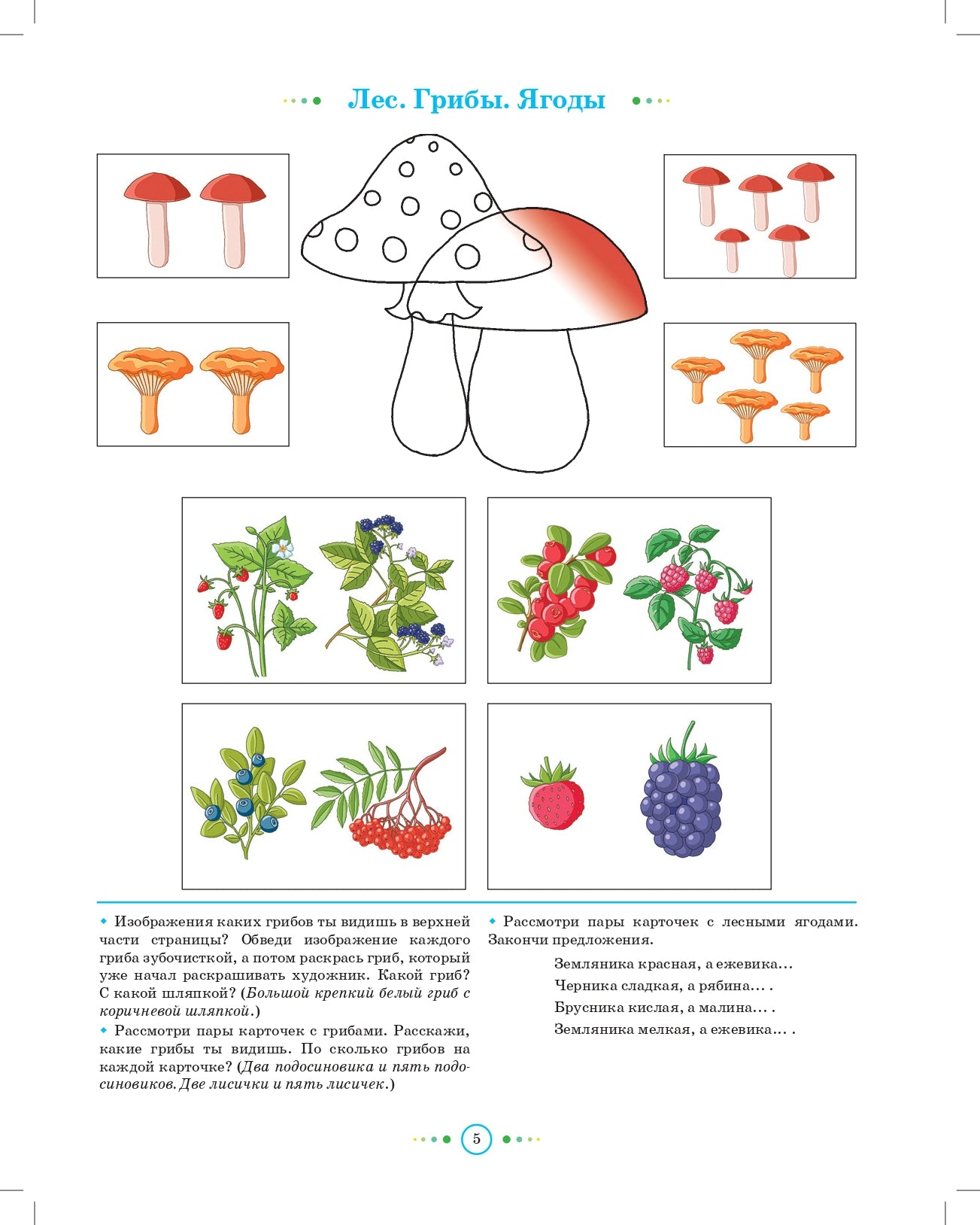 Тетрадь для детей старшего дошкольного возраста с ОНР (с 5 до 6 лет) Старшая группа. НОВЫЕ ЦВЕТНЫЕ ФАОП ДО. ФГОС ДО.