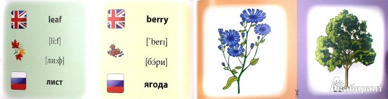 Путешествия.Отдых=Travelihg.Holidays:коллекция кар