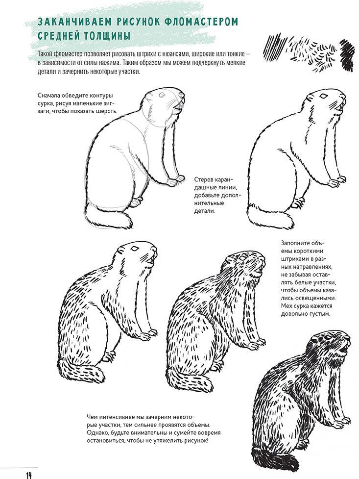 Скетчбук.Создаем наброски животных и птиц шаг за шагом:50 проектов с подроб.объяснениями
