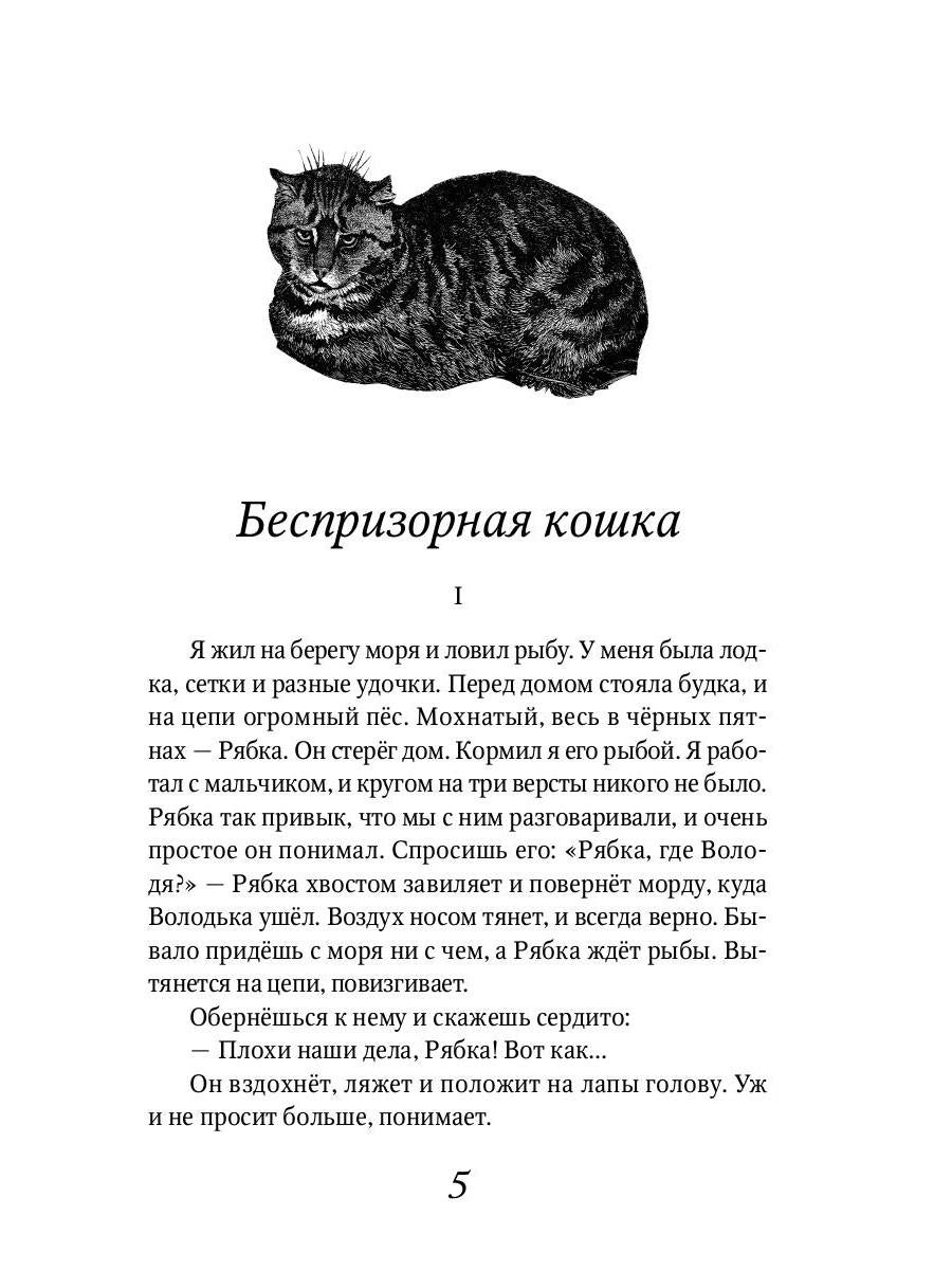 Беспризорная кошка: рассказы, повести