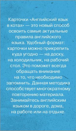 Английский язык в котах. Полезные карточки