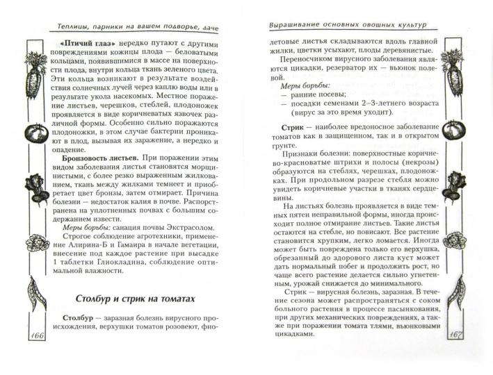 Теплицы, парники на вашем подворье, даче дп