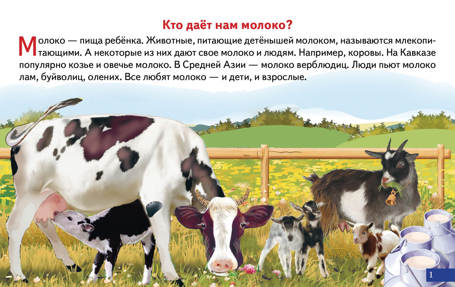Карточки (европодвес). Как получается молоко; Карточки (европодвес). Как получается молоко