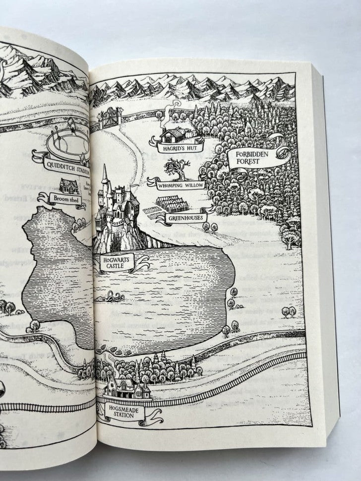 Harry Potter and the Philosopher's Stone J.K. Rowling Гарри Поттер и Философский камень Д.К. Роулинг / Книги на английском языке