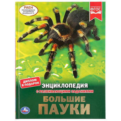 "УМКА". БОЛЬШИЕ ПАУКИ (ЭНЦИКЛОПЕДИЯ А4 С РАЗВИВАЮЩИМИ ЗАДАНИЯМИ). ТВЕРДЫЙ ПЕРЕПЛЕТ в кор.15шт